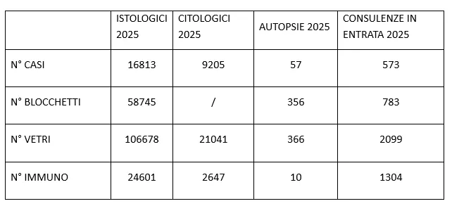 DATI DI ATTIVITA’ E INDICATORI